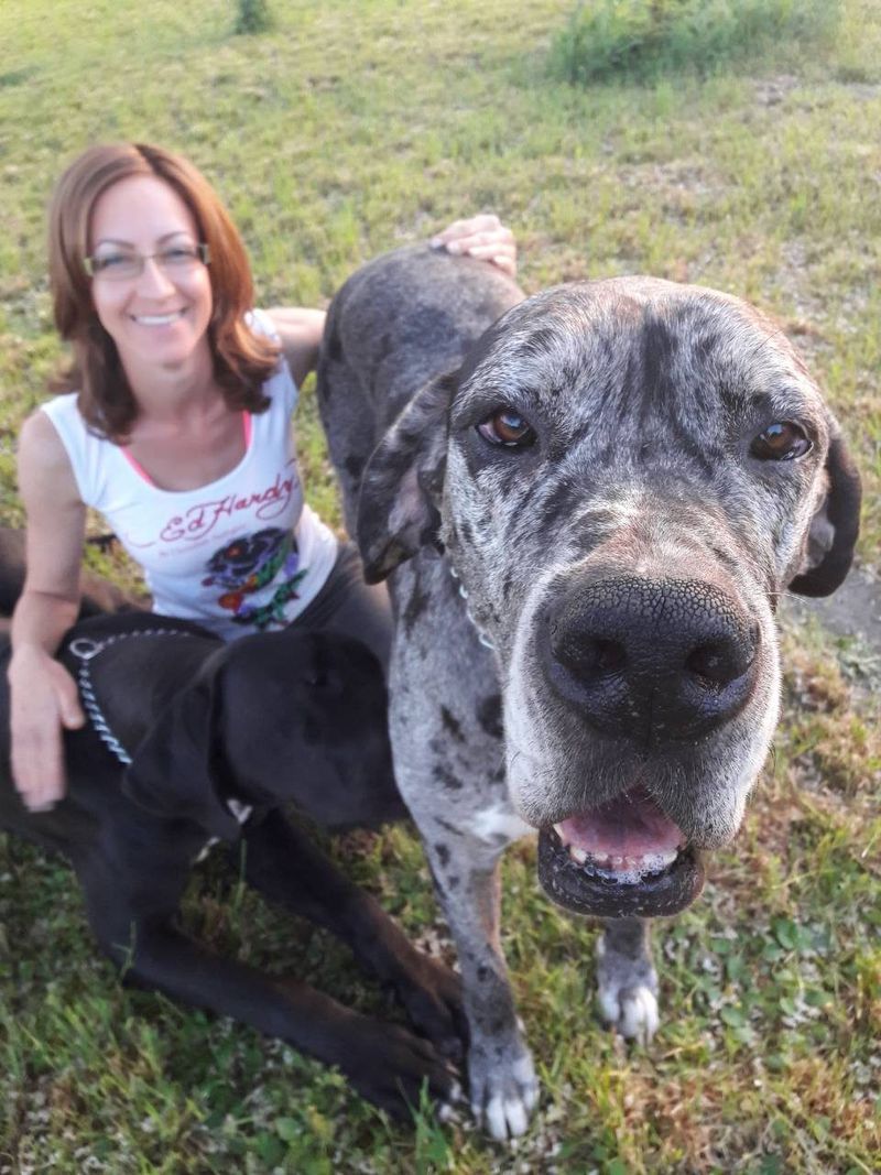 Viraczkó Andrea az egyik német doggal