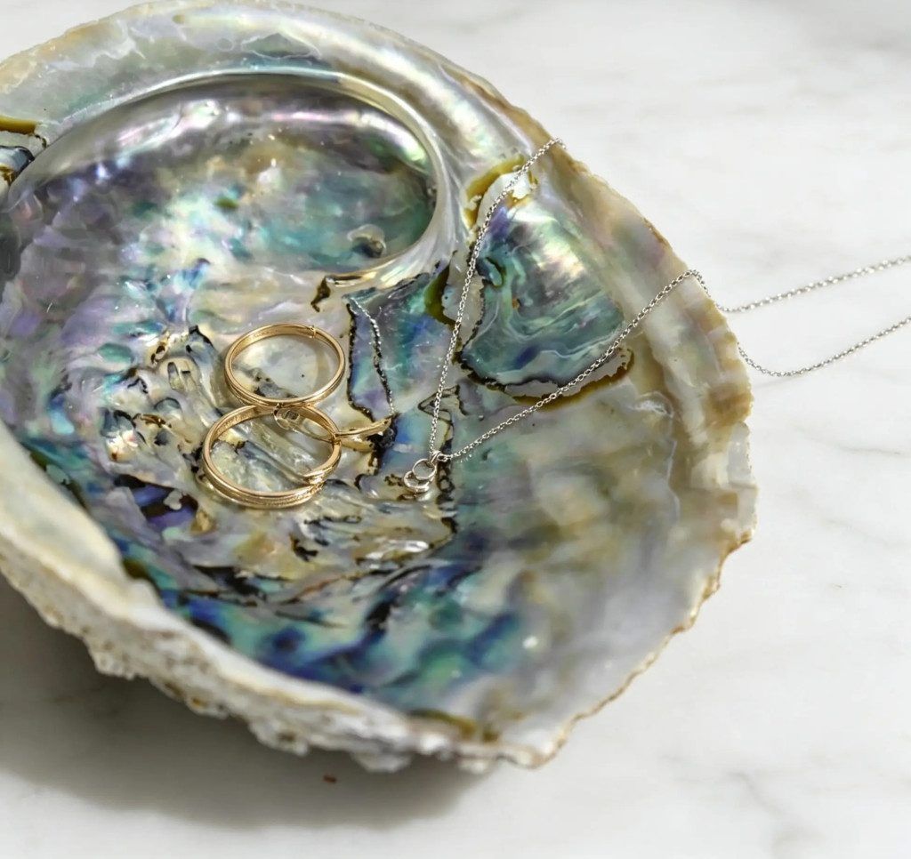 Exkluzív abalone kagylótál